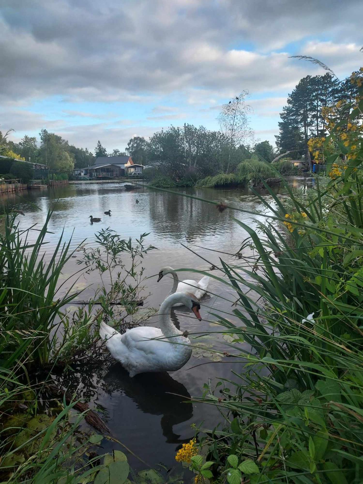 Rustig Gelegen Chalet Kapeki Met Tuin Aan Het Water Geel Exteriér fotografie